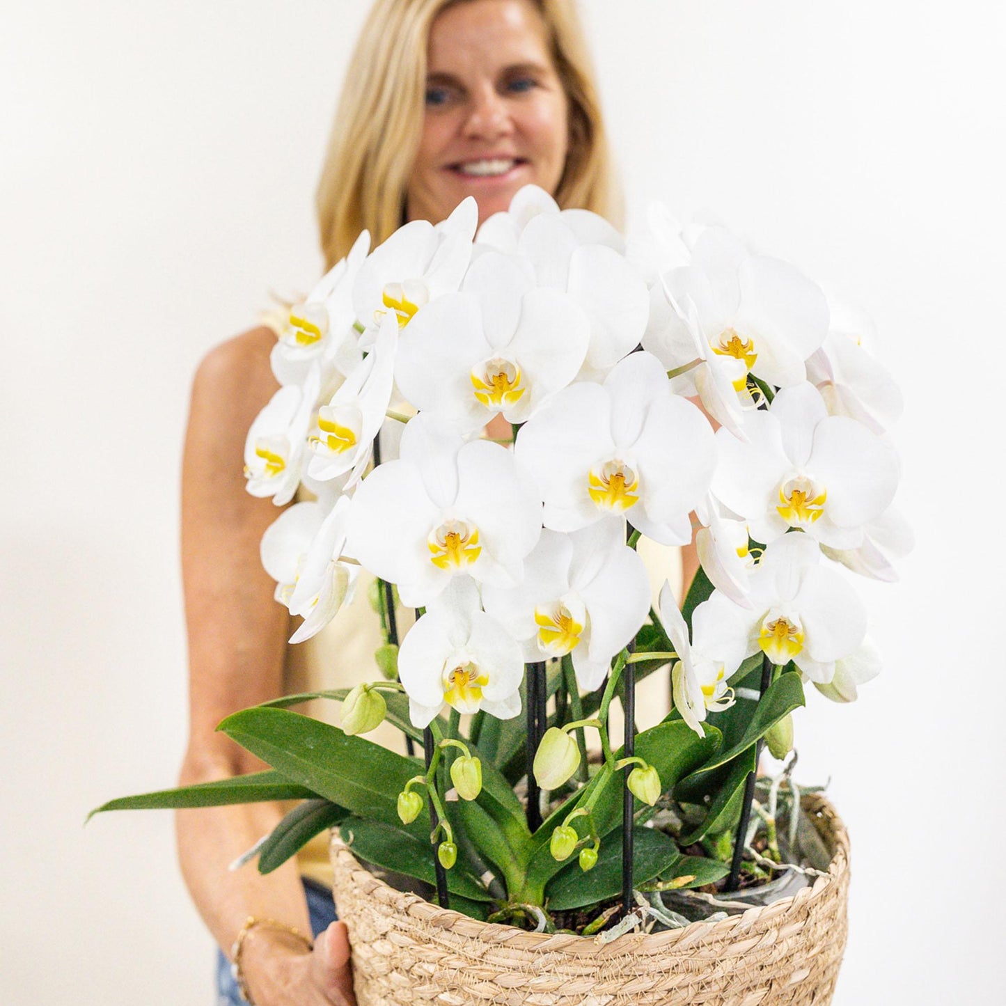 Set van 3 orchideeën met waterreservoir | Langdurige bloei & makkelijke verzorging