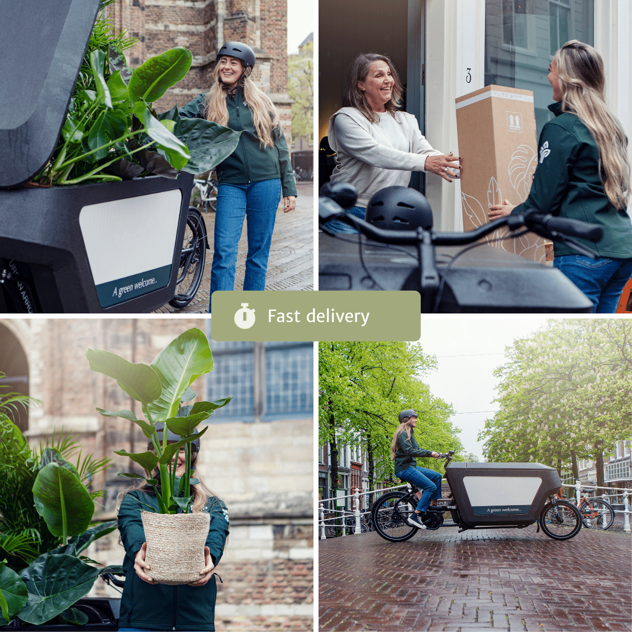 Succulenten Mix – Onderhoudsvriendelijke vetplanten voor elk interieur