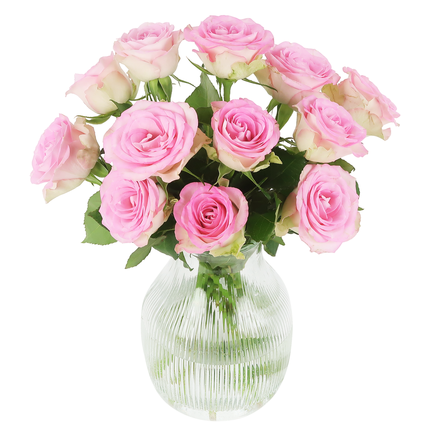Brievenbus Sweet Roses – Roze rozen vol elegantie & betekenis