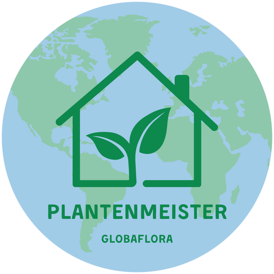 Voordelen van online planten kopen....