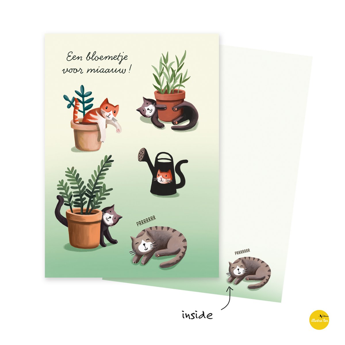 Wenskaart een bloemetje voor miaauw