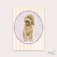 Ansichtkaart Labradoodle