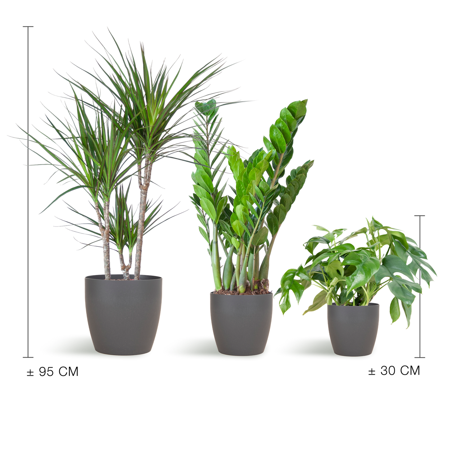 Schaduw Plantenbox met duurzame Viber potten – ideaal voor plekken met weinig licht