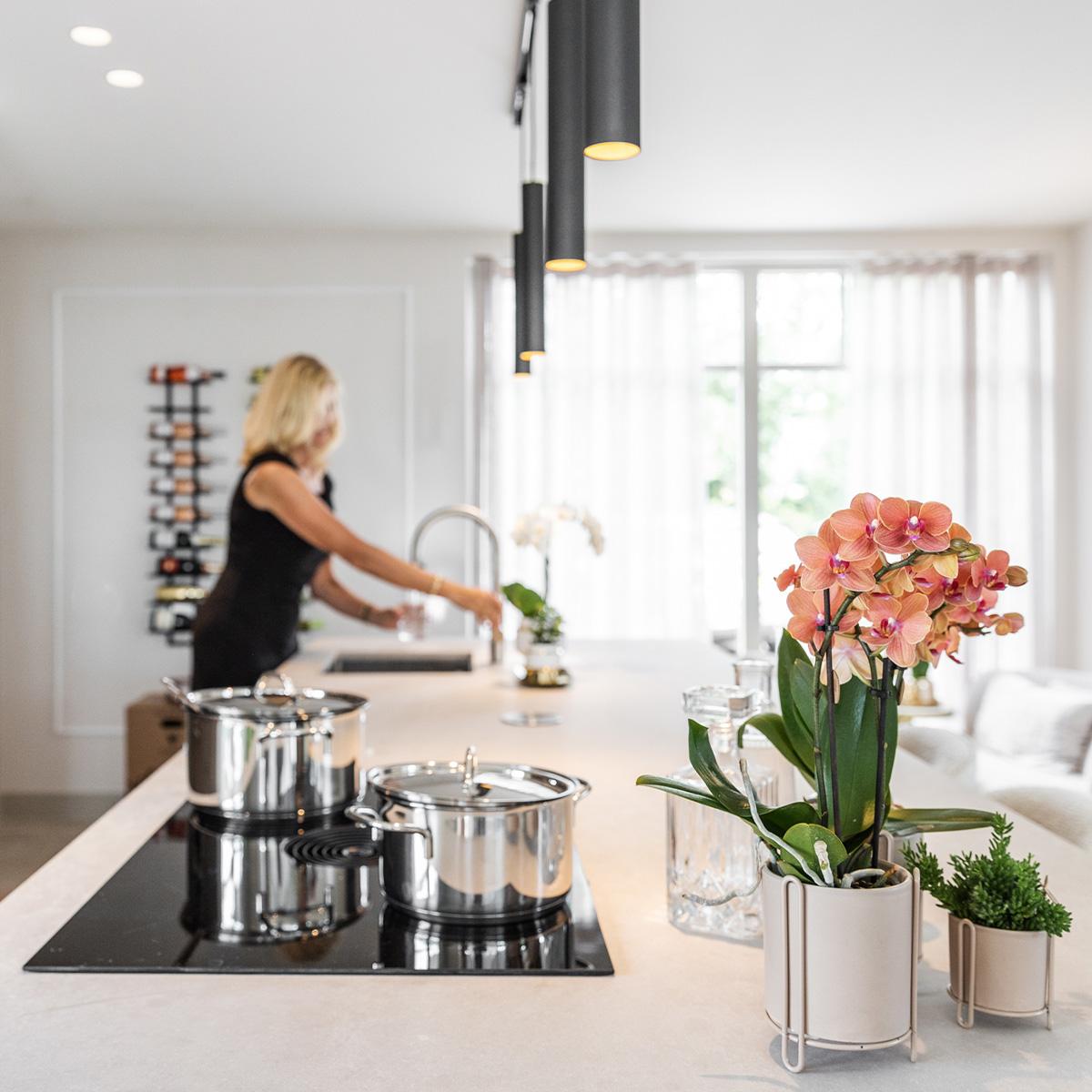 Combinatie van 2 Oranje Phalaenopsis Orchideeën – Energie en Warmte in Één Set