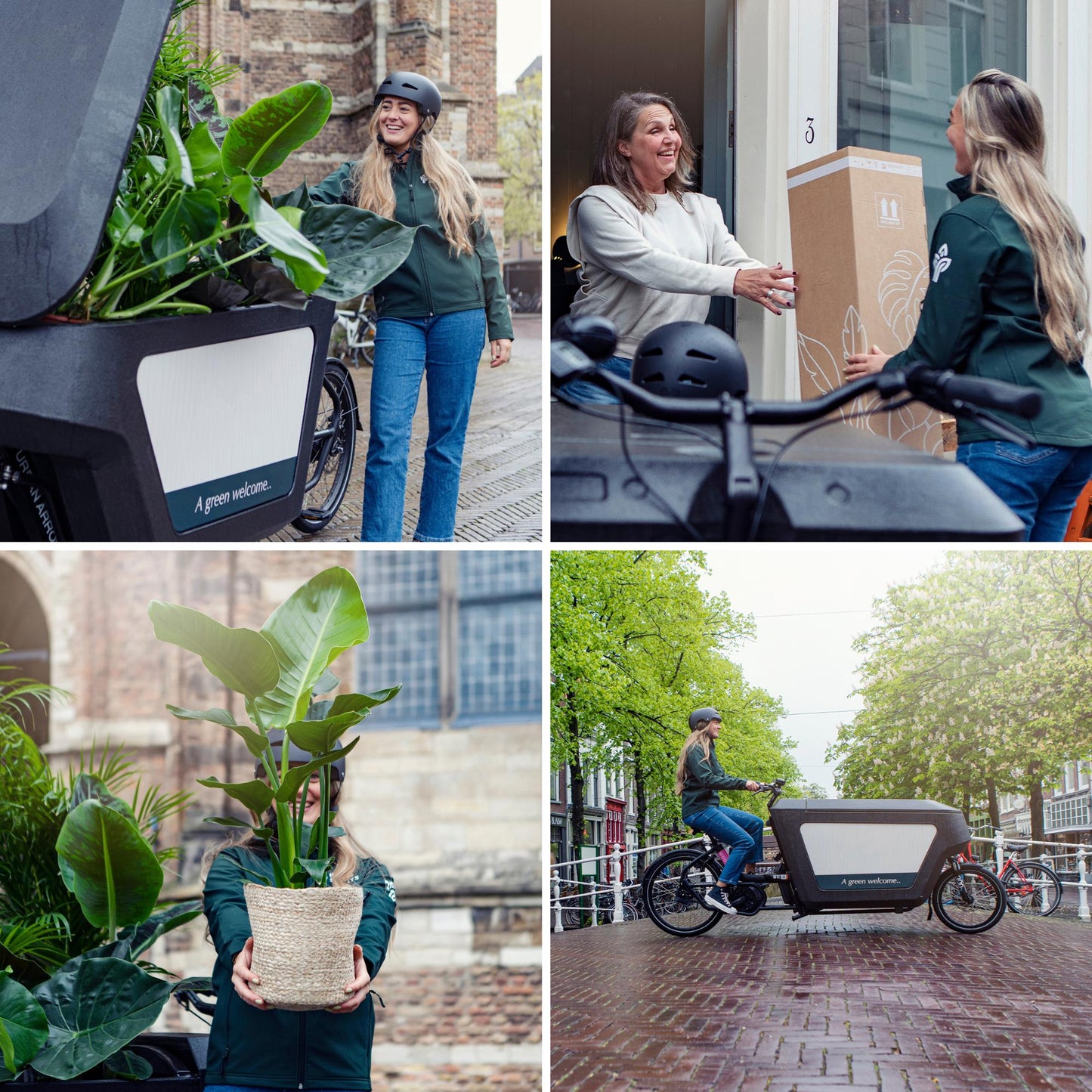 Buitenbeentjesbox – Bijzondere Planten met Karakter