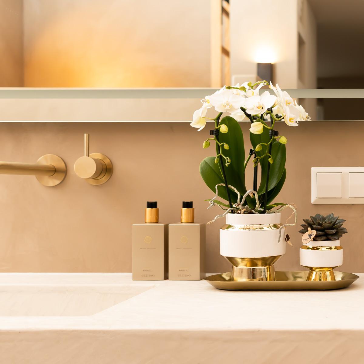 Lush Life Plantenset – Luxe en Glans voor een Chique Interieur