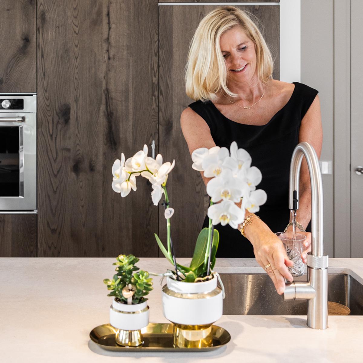 Lush Life Plantenset – Luxe en Glans voor een Chique Interieur