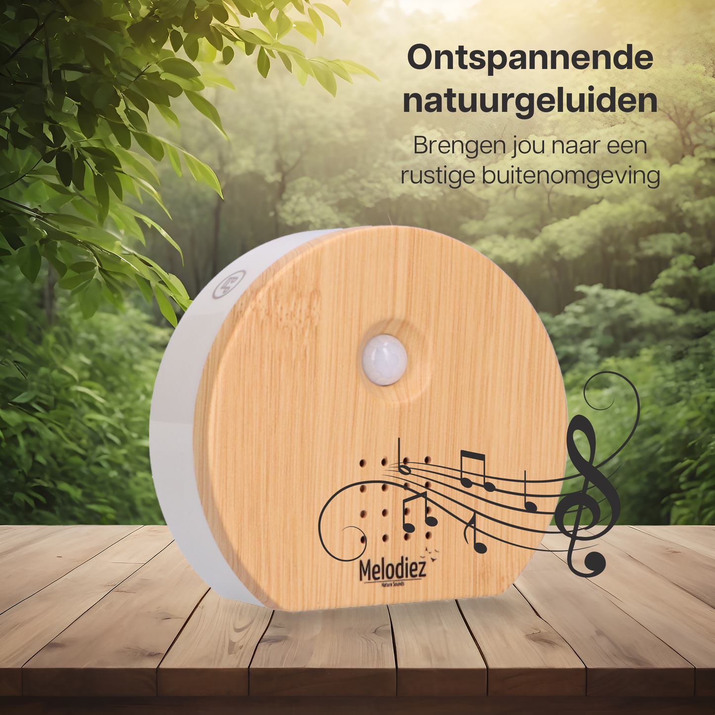 Melodiez music box  - Hout