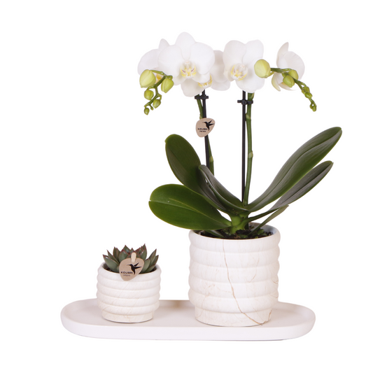 Slow Living Gift Set Small – Chique Rust & Stijlvolle Luxe in Één