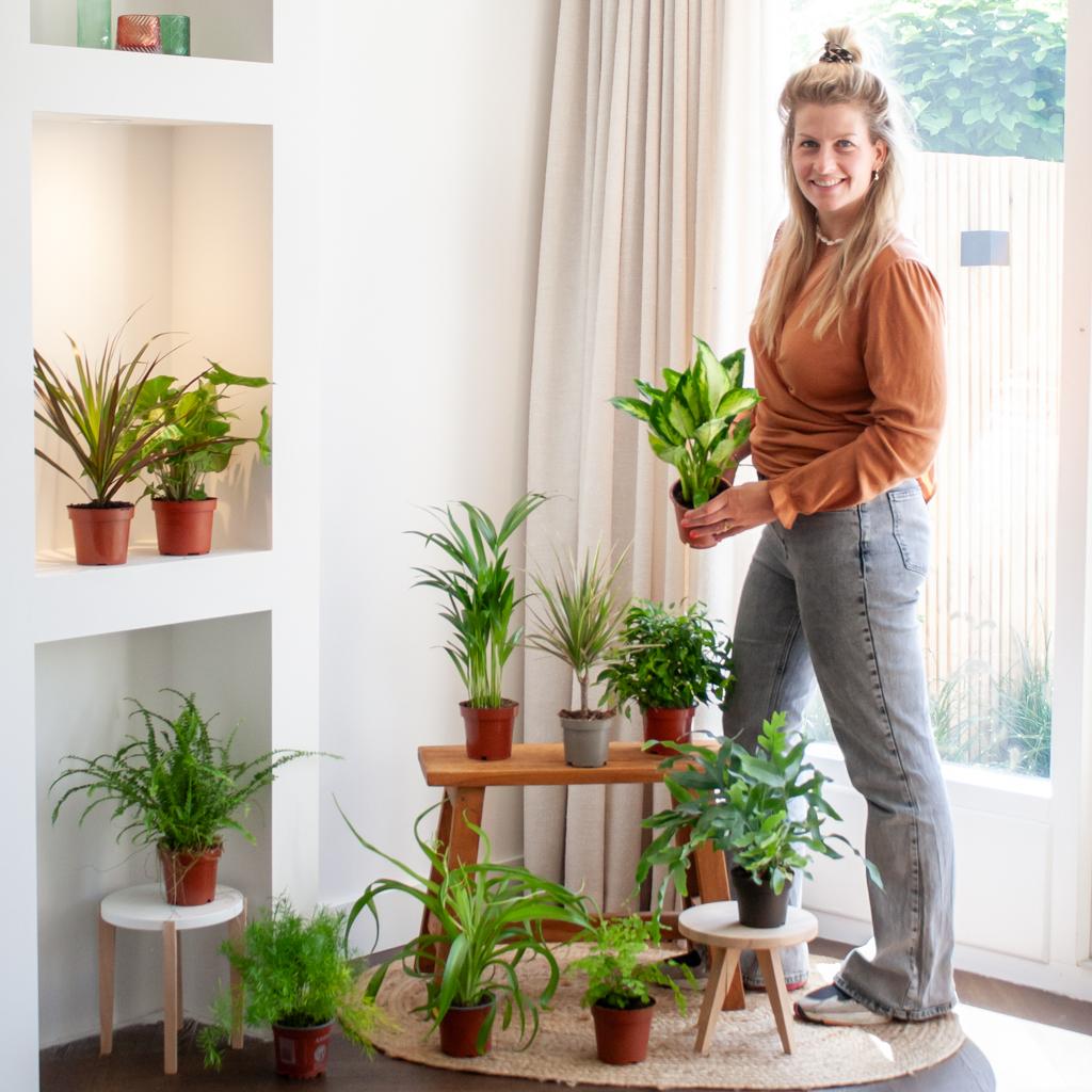 Groene Kneusjesbox – 12 unieke kamerplanten met karakter