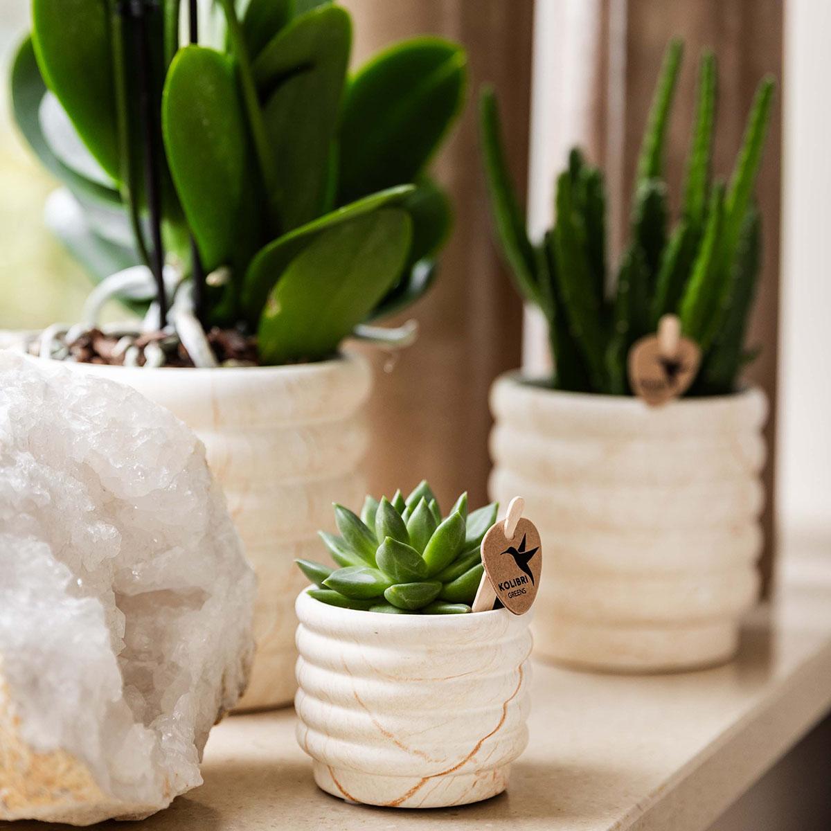 Slow Living Gift Set Small – Chique Rust & Stijlvolle Luxe in Één