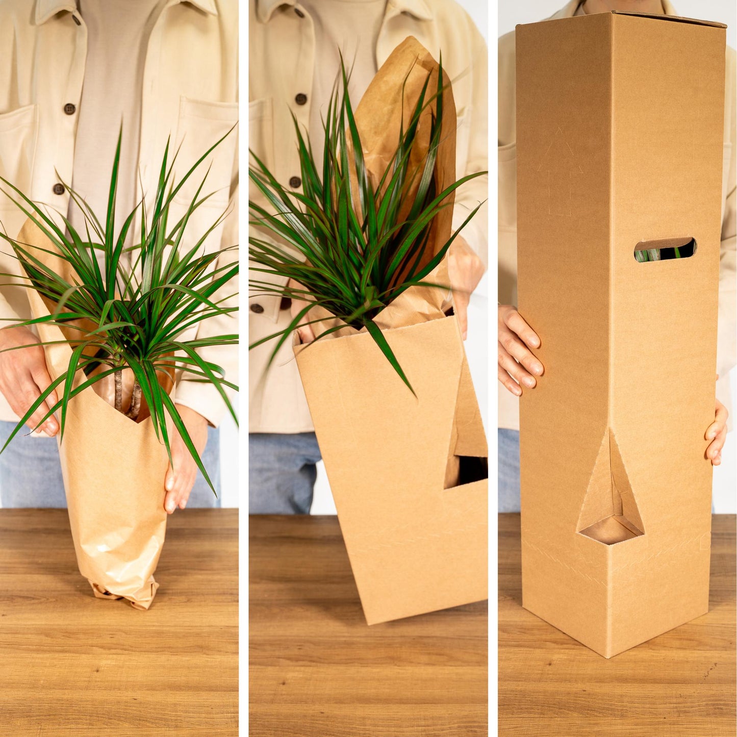 Buitenbeentjesbox – Bijzondere Planten met Karakter